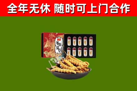 盐亭回收冬虫夏草价格