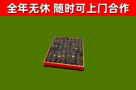 盐亭回收海参